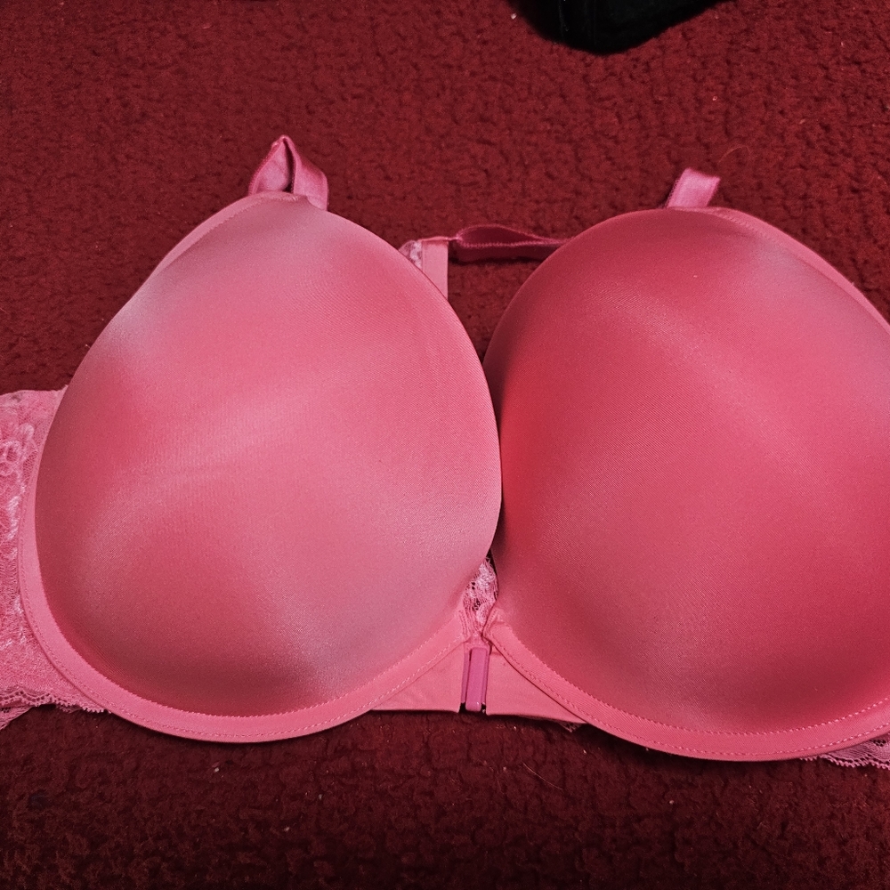 Torrid bra